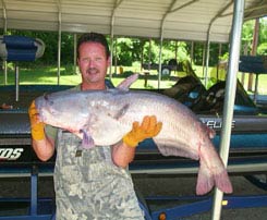 big kentucky lake catfish