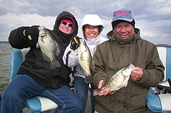 nice kentucky lake slab crappie