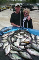 crappie catch at kentucky lake