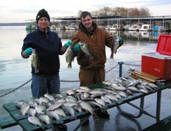 winter crappie picture