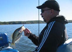 crappie photo