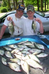 father and son with a mess of kentucky lake crappie