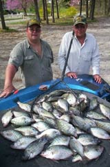 kentucky lake crappie photo