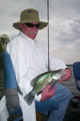 tennessee crappie