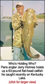 flathead catfish picture